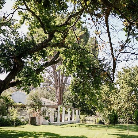 Montpellier De Tulbagh Hotel Ngoại thất bức ảnh