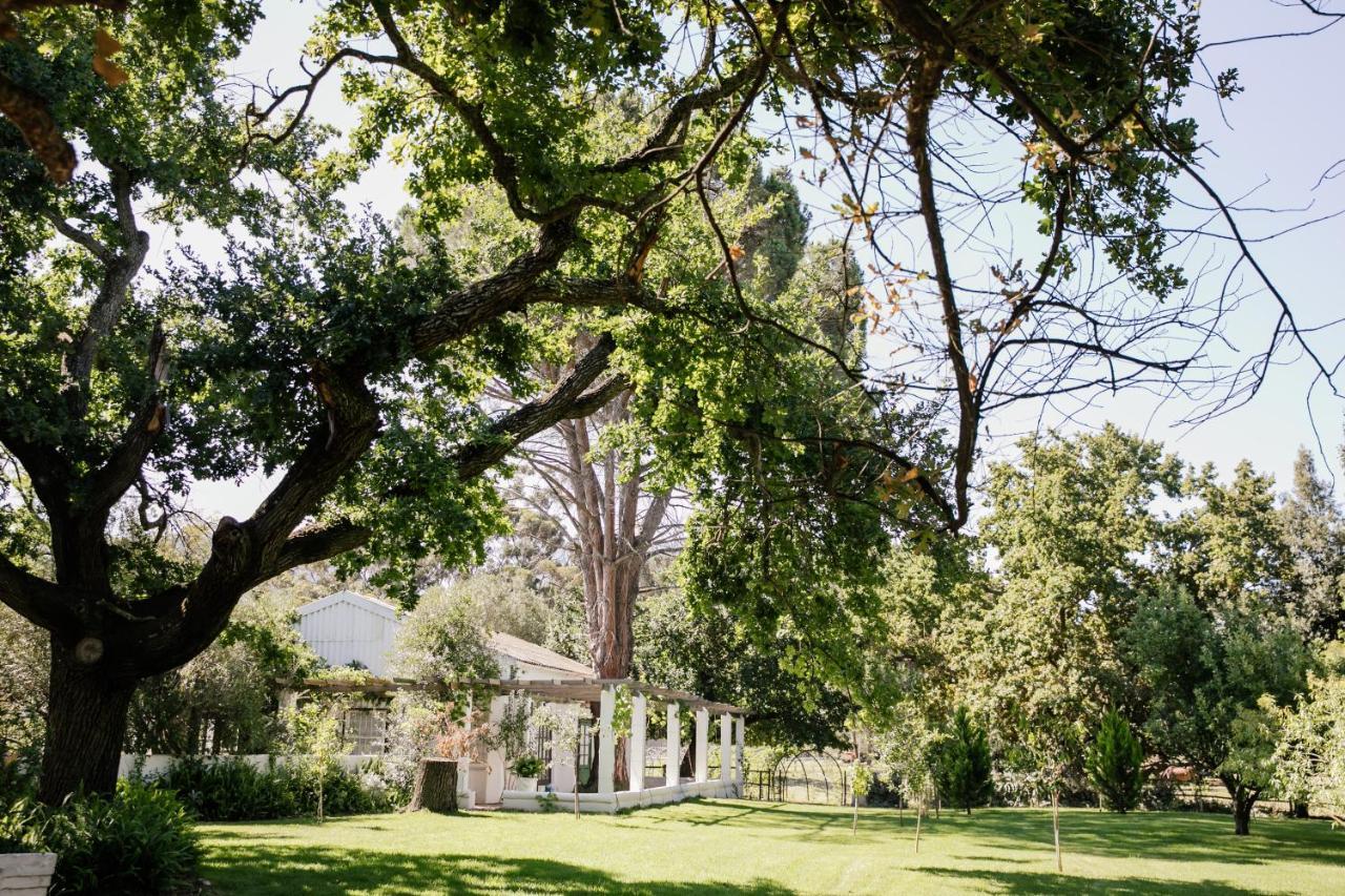 Montpellier De Tulbagh Hotel Ngoại thất bức ảnh