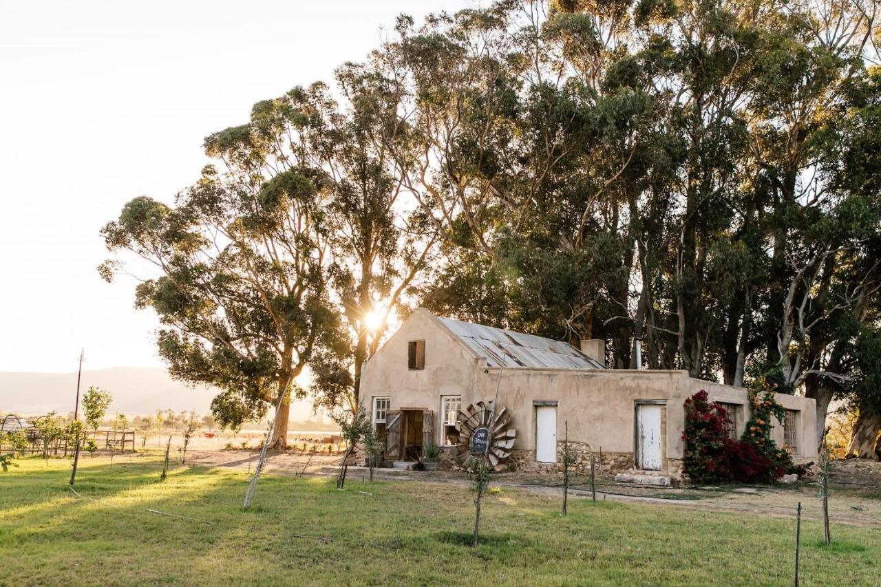 Montpellier De Tulbagh Hotel Ngoại thất bức ảnh